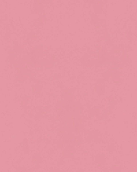 Hatte Me! Palette | 20 Peaches